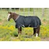 Amigo Stock Horse Turnout 200g - Black/Silver/Black -Equestrian Supplies Shop 303303 800 800