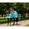 Amigo Polyester Stable Sheet - Delphinium Blue/Navy -Equestrian Supplies Shop 304559 800 800