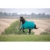 Shires Tempest Plus 200G Turnout - Teal -Equestrian Supplies Shop 312269 800 800