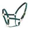 Centaur Super Comfort Halter - Green -Equestrian Supplies Shop 312736 800 800