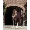 Amigo Net Cooler - Fig/Navy/Tan -Equestrian Supplies Shop 314357 800 800