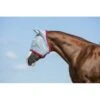 Amigo Fly Mask - Baby Blue/Pink -Equestrian Supplies Shop 314485 800 800