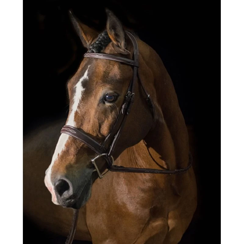 Pessoa PRO Fancy Stitched Wide Noseband Bridle - Dark Brown 3 Pessoa PRO Fancy Stitched Wide Noseband Bridle - Dark Brown