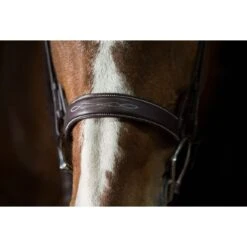 Pessoa PRO Fancy Stitched Wide Noseband Bridle - Dark Brown 7 Pessoa PRO Fancy Stitched Wide Noseband Bridle - Dark Brown -Equestrian Supplies Shop 330155 800 800
