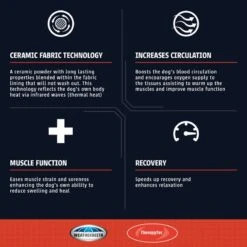 Weatherbeeta Comfitec Premier With Therapy-Tec Detach-A-Neck Medium - Black/Silver/Red -Equestrian Supplies Shop 346759 800 800