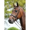 Kincade Padded Headpiece Flash Bridle - Brown -Equestrian Supplies Shop 347264 800 800
