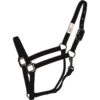 Western Rawhide SignatureFashion Halter W/Black Nickel Finish Hardware - Black -Equestrian Supplies Shop 360399 800 800