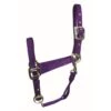 Western Rawhide Signature Classic Halter W/Snap - Purple -Equestrian Supplies Shop 360429 800 800