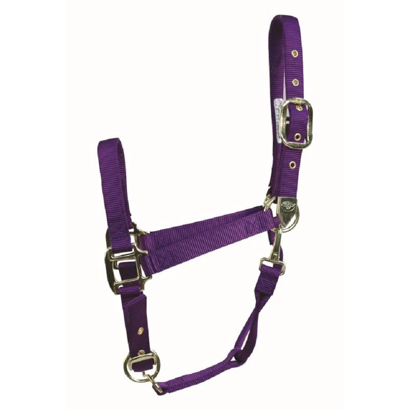 Western Rawhide Signature Classic Halter W/Snap - Purple 3 Western Rawhide Signature Classic Halter W/Snap - Purple