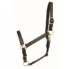 Western Rawhide Leather Horse Halter - Dark Brown
