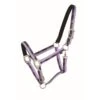 Western Rawhide Country Legend Nubuck Padded Halter - Purple/Grey/Charcoal 1 Western Rawhide Country Legend Nubuck Padded Halter - Purple/Grey/Charcoal -Equestrian Supplies Shop 360513 800 800