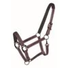 Western Rawhide Country LegendDesigner Padded Halter - Purple/Brown -Equestrian Supplies Shop 360523 800 800