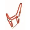 Western Rawhide Country Legend Soft-Touch Halter - Burnt Orange 2 Western Rawhide Country Legend Soft-Touch Halter - Burnt Orange -Equestrian Supplies Shop 360583 800 800