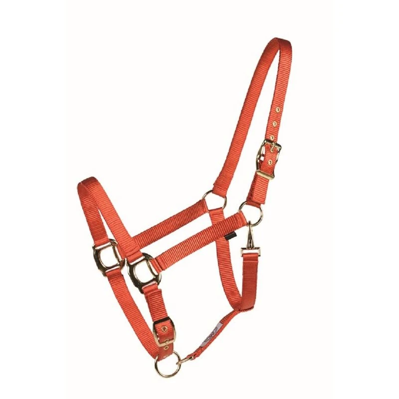 Western Rawhide Country Legend Soft-Touch Halter - Burnt Orange 3 Western Rawhide Country Legend Soft-Touch Halter - Burnt Orange