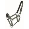 Western Rawhide Country LegendDesigner Padded Halter - Hunter/Mint -Equestrian Supplies Shop 360605 800 800