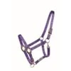 Western Rawhide Country Legend Soft-Touch Halter - Purple -Equestrian Supplies Shop 360815 800 800