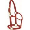 Western Rawhide Signature Classic Halter - Red 2 Western Rawhide Signature Classic Halter - Red -Equestrian Supplies Shop 360852 800 800