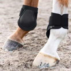 Horze Fetlock Boots - Black -Equestrian Supplies Shop 378173 800 800