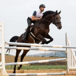 Horze Men's Grand Prix Full Seat Breeches - Black -Equestrian Supplies Shop 382121 800 800