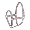 Horze Adepto Halter - Dawn Pink 1 Horze Adepto Halter - Dawn Pink -Equestrian Supplies Shop 386507 800 800