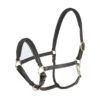 Horze Largo Halter - Dark Brown 2 Horze Largo Halter - Dark Brown -Equestrian Supplies Shop 386538 800 800