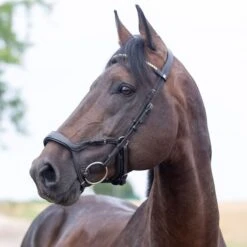 Horze Stewart Anatomical Bridle - Dark Brown -Equestrian Supplies Shop 386605 800 800