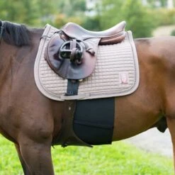 Horze Elastic Belly Guard - Black 7 Horze Elastic Belly Guard - Black -Equestrian Supplies Shop 387350 800 800