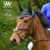 Woof Wear Ergonomic Ear Net - Black/Electric Blue -Equestrian Supplies Shop 388869 800 800