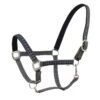Centaur Argyle Padded Breakaway Halter - Grey -Equestrian Supplies Shop 393535 800 800