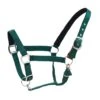 Centaur Cushion Web Breakaway Halter - Hunter Green 1 Centaur Cushion Web Breakaway Halter - Hunter Green -Equestrian Supplies Shop 393549 800 800