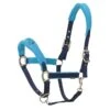 Centaur Fleece Cushion Breakaway Halter - Navy/Turquoise