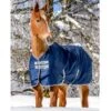 Bucas Freedom Extra Turnout - Navy -Equestrian Supplies Shop 399945 800 800