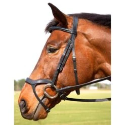 Nunn Finer Innovativo Shaped Bridle - Black -Equestrian Supplies Shop 399996 800 800