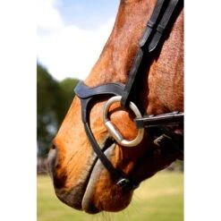 Nunn Finer Innovativo Shaped Bridle - Black -Equestrian Supplies Shop 399998 800 800