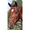 Nunn Finer Figure 8 Clincher Browband Padded Event Bridle - Havana/Zinc 1 Nunn Finer Figure 8 Clincher Browband Padded Event Bridle - Havana/Zinc -Equestrian Supplies Shop 400373 800 800