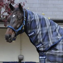 Bucas Celtic Combi Neck - Tartan Plaid