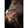Nunn Finer Gag Hanger - Havana -Equestrian Supplies Shop 400790 800 800