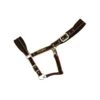 Rambo Padded Halter - Witney Gold -Equestrian Supplies Shop 401132 800 800