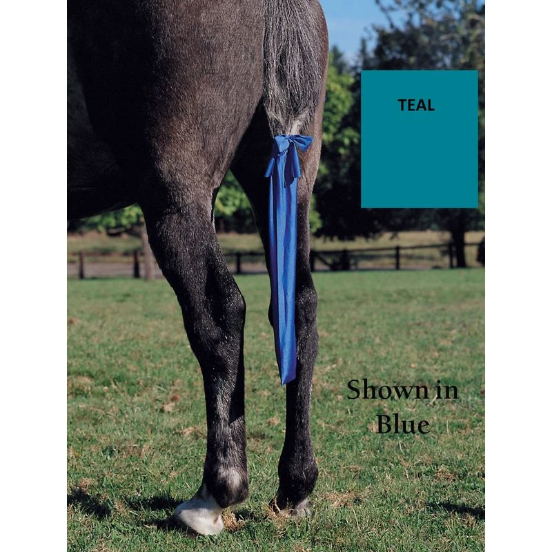 Jammies Tail Bag - Teal 3 Jammies Tail Bag - Teal