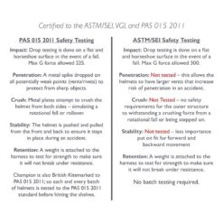 Champion Evolution Puissance Helmet - Black -Equestrian Supplies Shop 401526 800 800