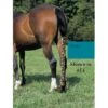 Jammies Three Piece Tail Wrap - Teal 1 Jammies Three Piece Tail Wrap - Teal -Equestrian Supplies Shop 402348 800 800