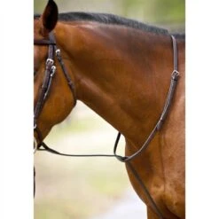 Nunn Finer Standing Martingale - Black/Zinc 7 Nunn Finer Standing Martingale - Black/Zinc -Equestrian Supplies Shop 402577 800 800