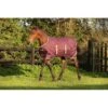 Amigo Foal Ripstock Turnout 200g - Fig/Navy/Tan -Equestrian Supplies Shop 405384 800 800