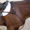 Nunn Finer 5-Way Hunting Breastplate With Elastic - Havana/Brass -Equestrian Supplies Shop 405448 800 800