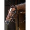 Nunn Finer Florence Hunter Bridle - Havana -Equestrian Supplies Shop 405585 800 800