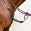 Nunn Finer Bella Donna 3-Way Breastplate - Havana -Equestrian Supplies Shop 407020 800 800
