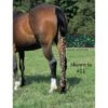 Jammies Three Piece Tail Wrap - Neon Leopard -Equestrian Supplies Shop 408305 800 800