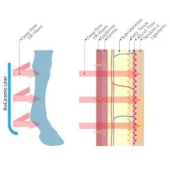 Woof Wear Stable Boots W/Bio-Ceramic Liners - Black -Equestrian Supplies Shop 409939 800 800