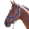 Shires Topaz Leather Breakaway Nylon Halter - Navy -Equestrian Supplies Shop 411933 800 800