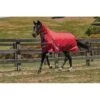 Weatherbeeta Comfitec Classic Combo Neck Lite - Red/Silver/Navy -Equestrian Supplies Shop 412757 800 800